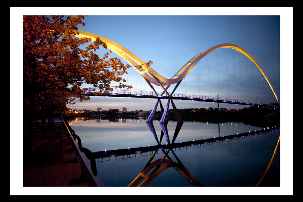 infinity bridge stockton reflection and tree