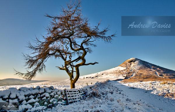 roseberry topping north yorkshire snow 