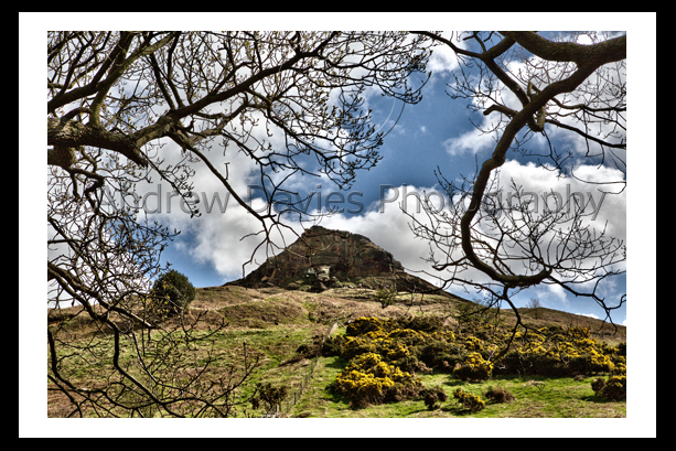 roseberry topping landscape print photo canvas for sale