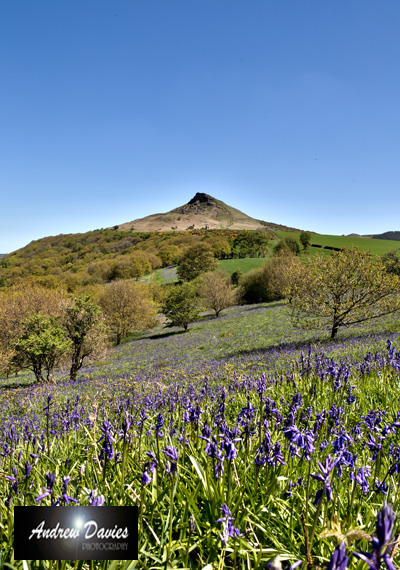 roseberry topping north yorkshire 