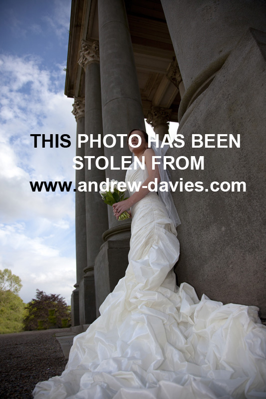 wynyard hall north east wedding venue photo (c) 2011 by andrew davies photography