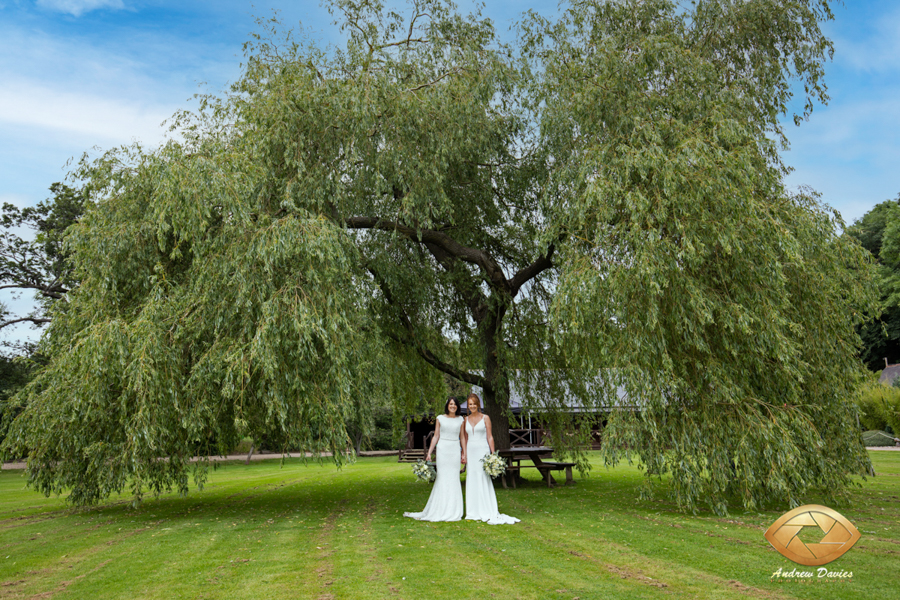 whinstone view north yorkshire wedding venue great ayton photographs