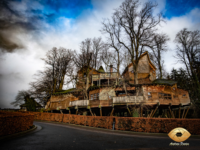 alnwick treehouse wedding photo 