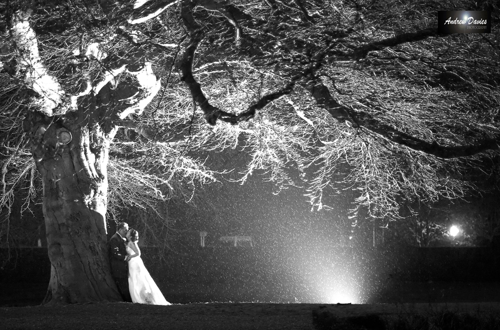 gisborough hall wedding photos nightshot under the old oak tree