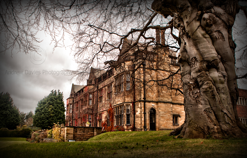 gisborough hall wedding photos