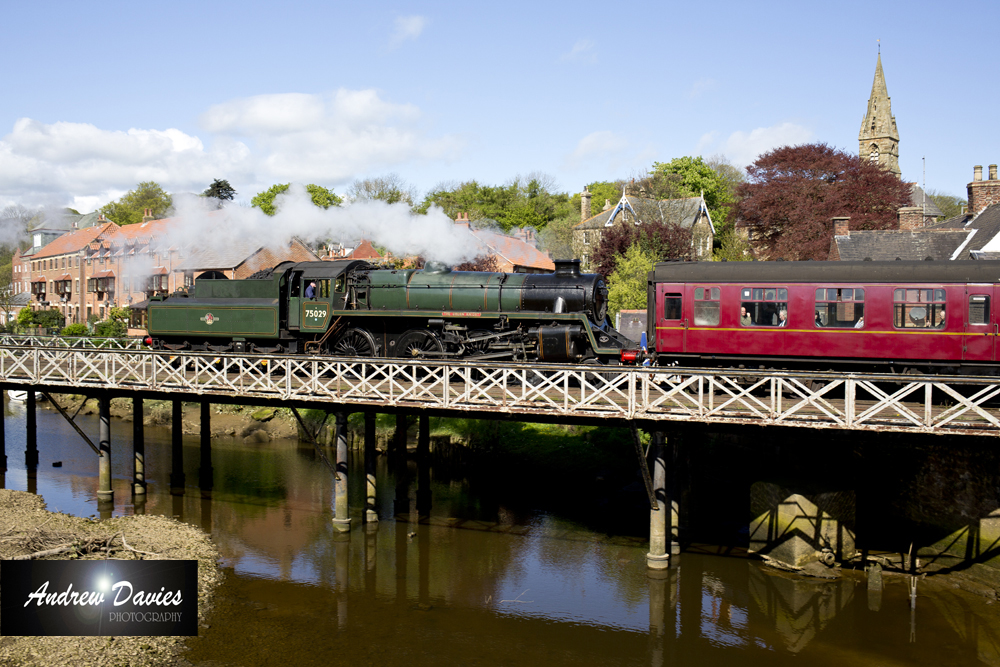 75029 steam locomotive print