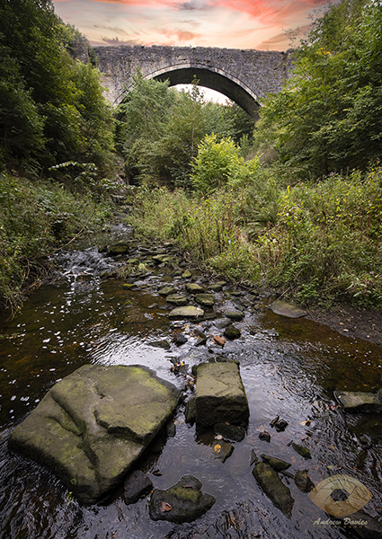 Causey Arch Print . Stanley County Durham - Oldest Surviving Single Arch Railway Bridge in the World.