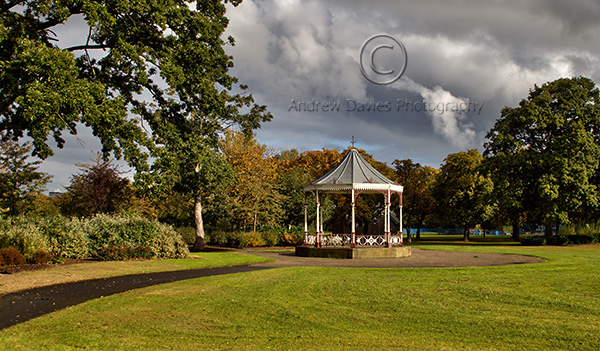 albert park middlesbrough print