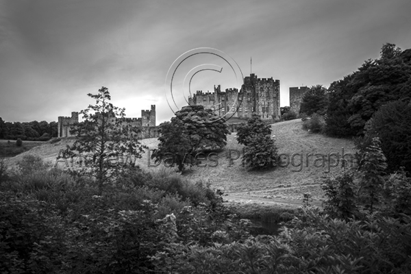 alnwick castle print bw