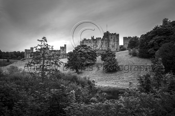 alnwick castle print bw