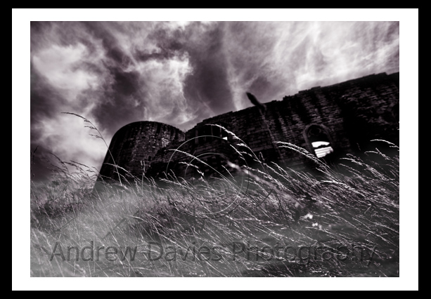 barnard castle landscape print 