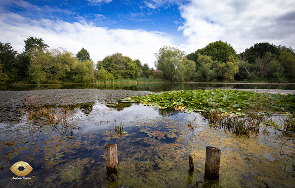 Hartburn Brickie - Brick pond at Hartburn Stockton on tees print