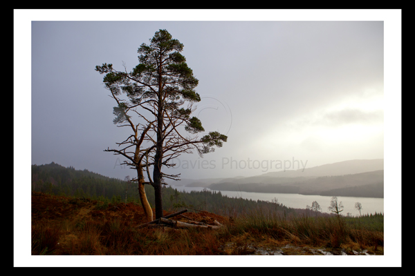 cairngorms national park photo