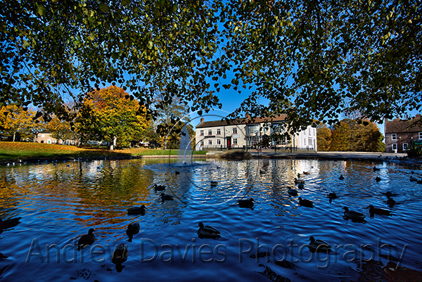 Norton Duck Pond , Stockton on Tees print