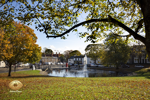 Norton Duck Pond Higher Viewpoint  photo print