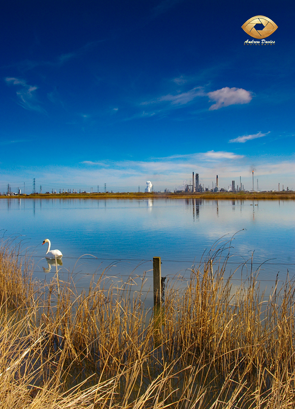 View across Haverton Hill / Port Clarence / Saltholme marsh  photo print