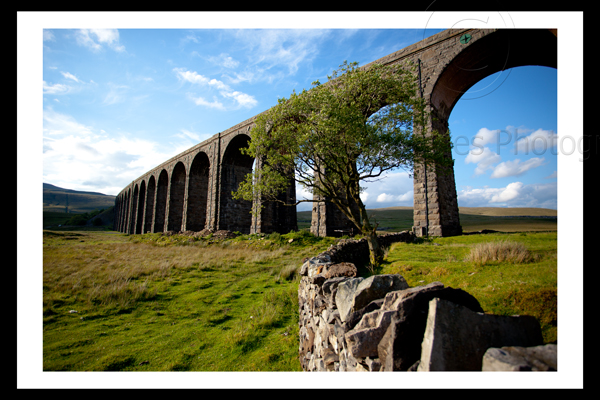 Ribblehead viaduct landscape print settle to carlisle railway photo