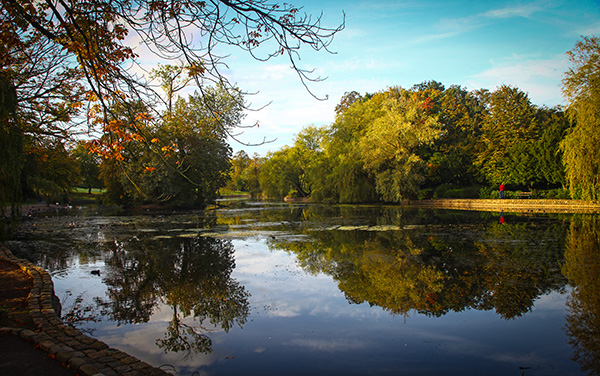 ropner park landscape print