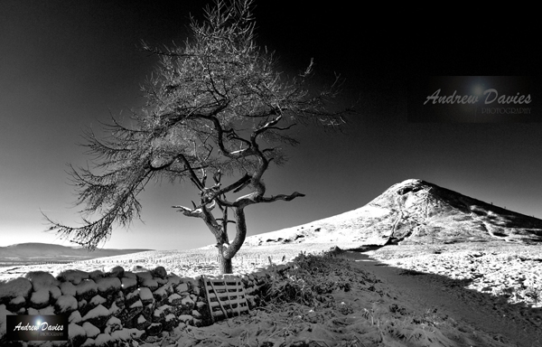 roseberry topping north yorkshire snow black white