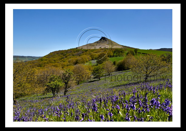 roseberry topping north yorkshire photo or print