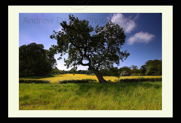 roseberry topping north yorkshire photo or print