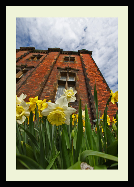 ryehope engine museum