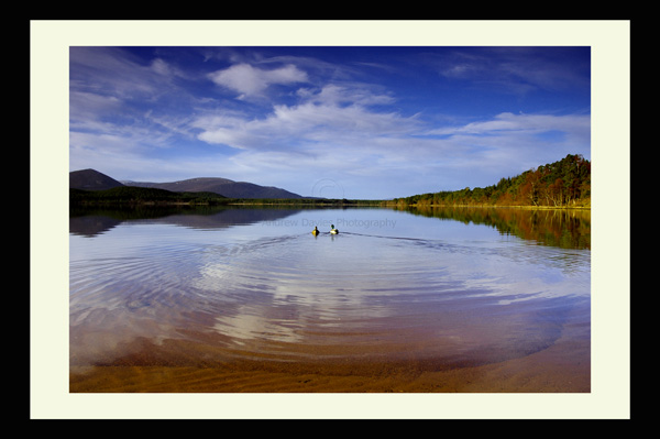loch morlich scottish highlands 