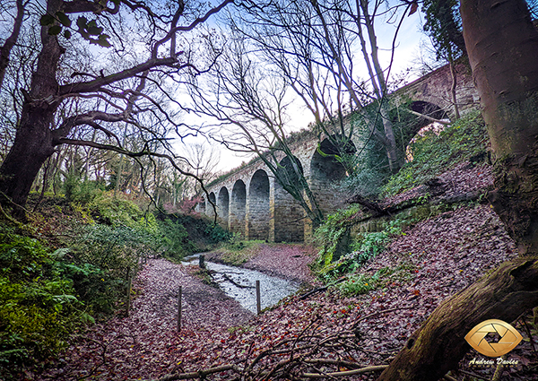 slapewath viaduct spa wood viaduct print 2021