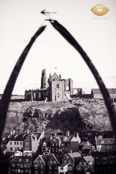 Whitby Abbey and Whale Bones bw