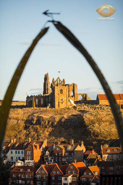 Whitby Abbey and Whale Bones 