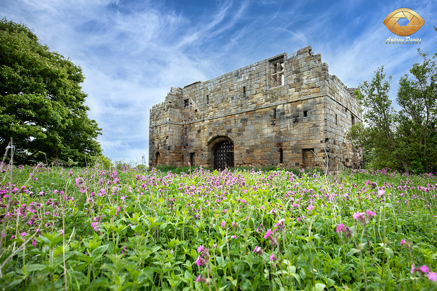 Whorlton Castle North Yorkshire near Swainby