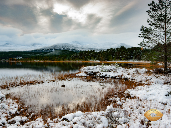 Loch Morlich winter snow Cairngorms Scottish Highlands