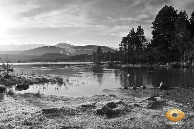 Loch Morlich black and white Scottish Highlands 
