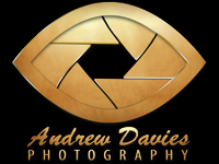 north east wedding photographer andrew davies