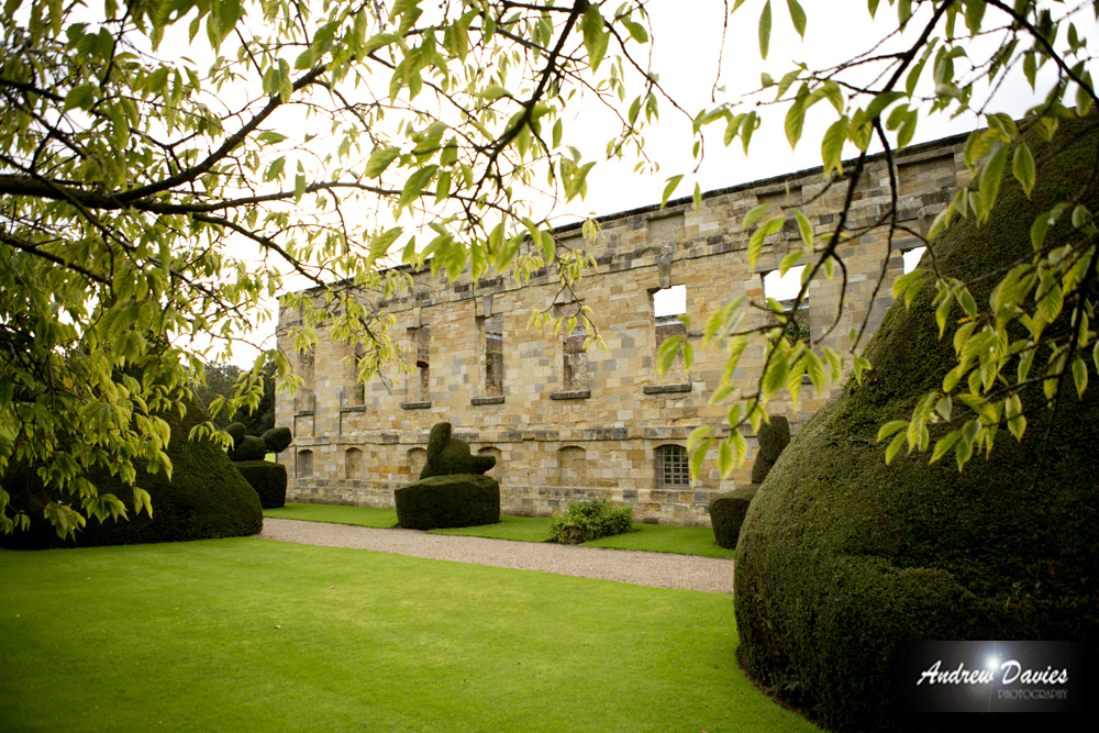 wedding photos newburgh priory north yorkshire