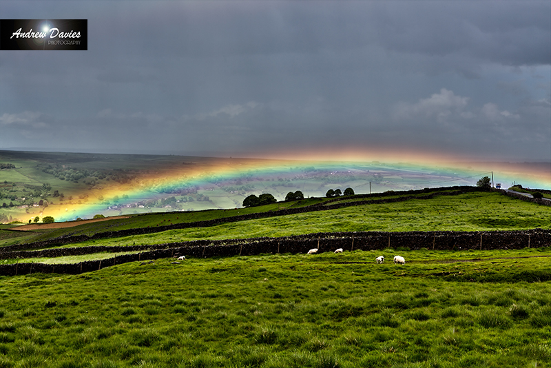 yorkshire scene print rainbow
