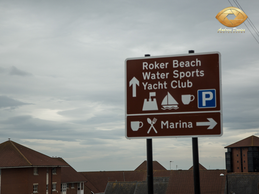 roker hotel wedding photographer photos 