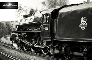 steam locomotives north east and yorkshire prints