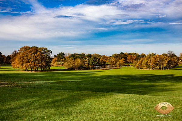 stewart park middlesbrough vista shot photo print