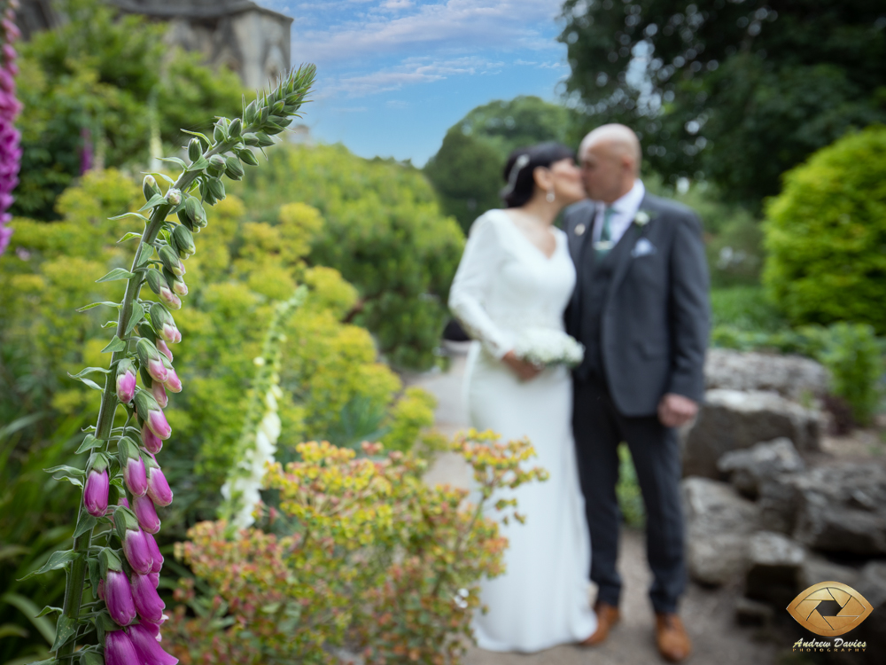 York Museum Gardens Wedding Photo York Museum Gardens is a spectacular area with many photographic opportunities open to the public